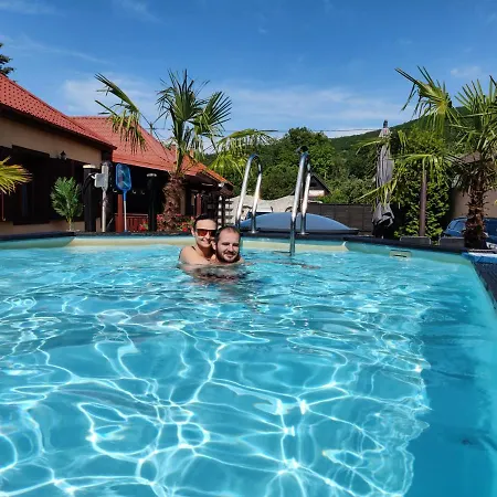 Viki Vendeghaz Guest house *